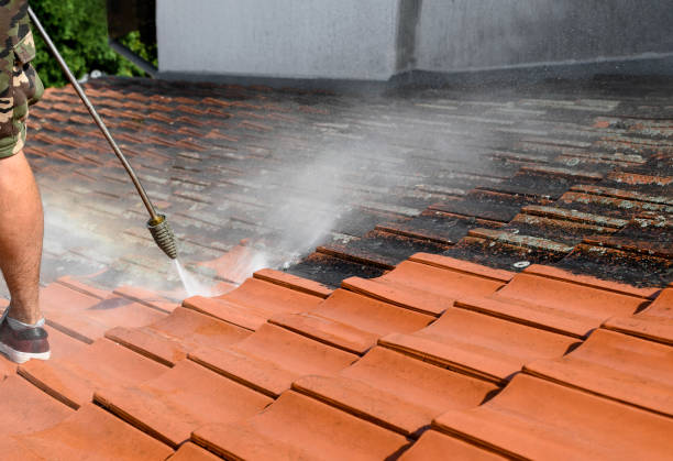 Best Pressure Washing Siding  in Camp Swift, TX